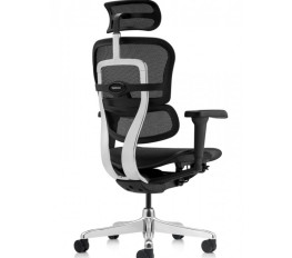 Scaun Ergohuman 2 Ultra 30.12.92, spatar reglabil, tetiera reglabila 2D, suport lombar